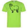 Cool T Sports Shirt Thumbnail